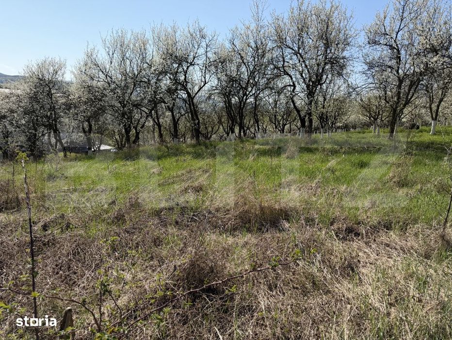 Teren intravilan in localitatea Criseni in suprafata de 2700 mp