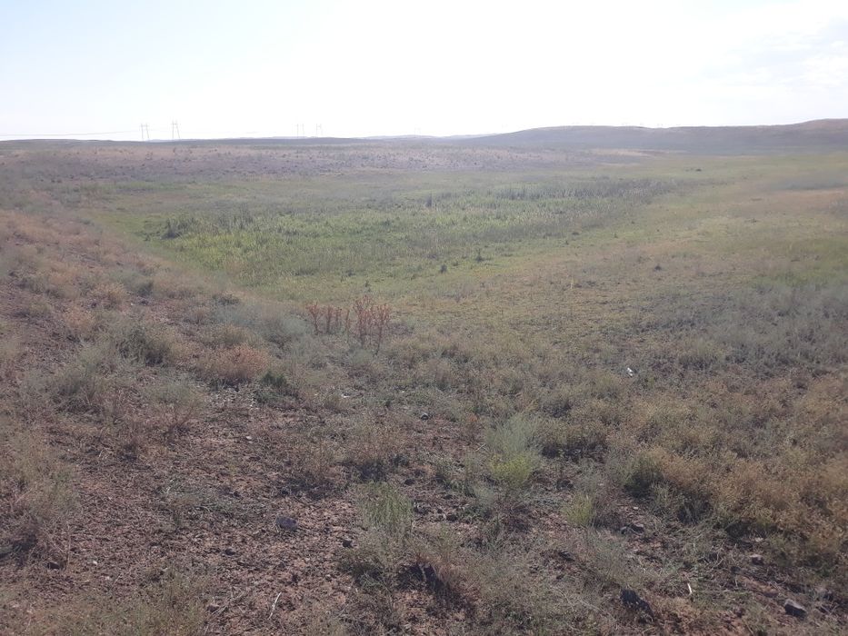 Продам участок (к/х, с/х)