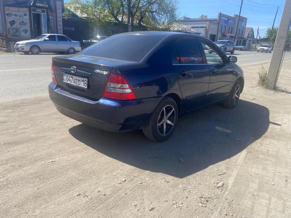 Аренда авто Тойота Королла