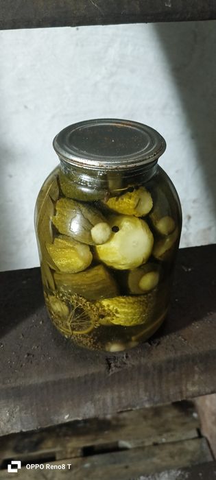 Продам  соленные  огурцы