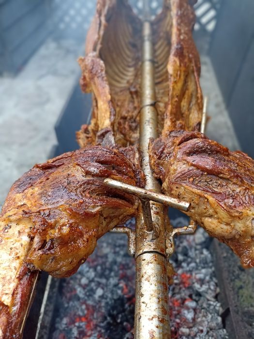 Protap Traditional Evenimente Private