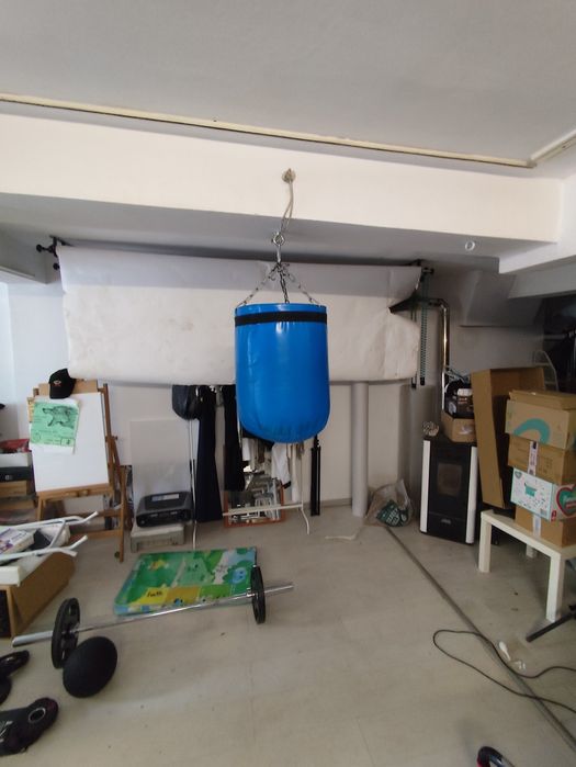 Боксова круша Petra