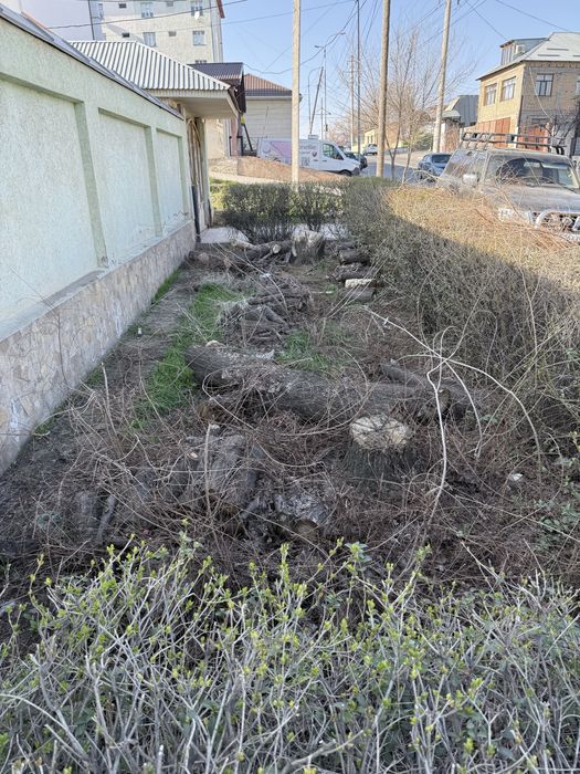 Отдам дрова бесплатно