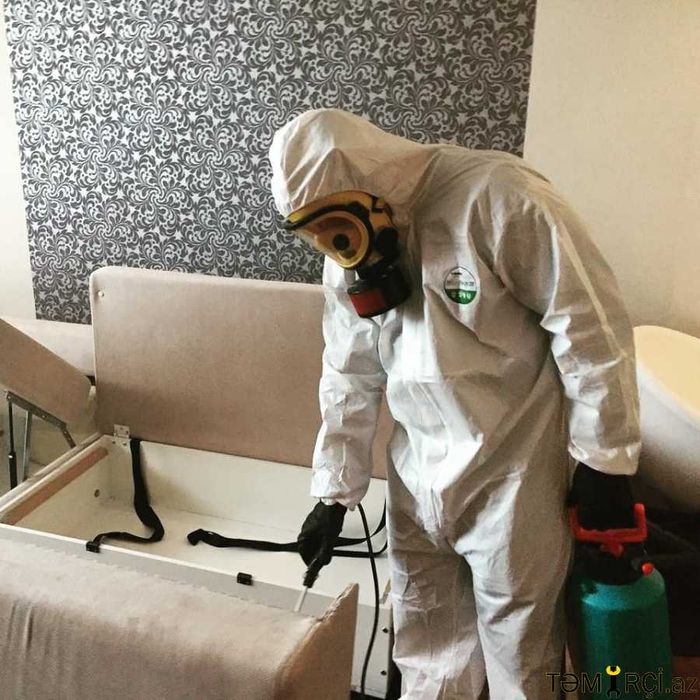 ДЕЗИНФЕКЦИЯ 24/7 против всех насекомых и грызунов