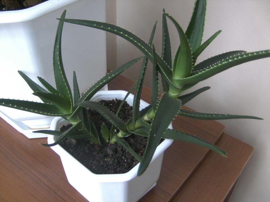 фотоапарат TRAVELER DC-7900