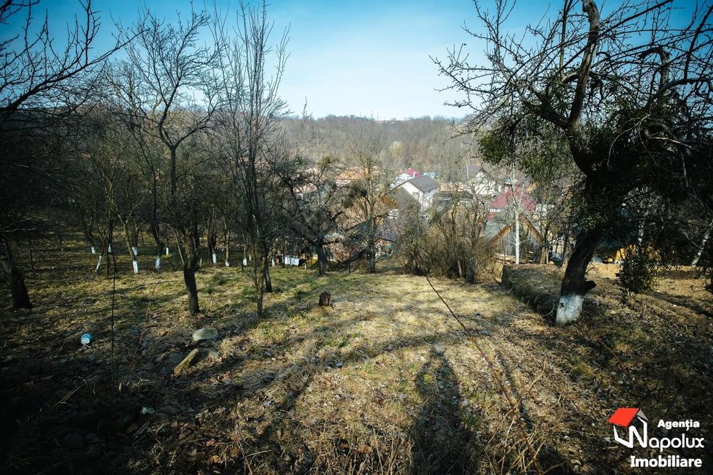 Teren intravilan Finisel