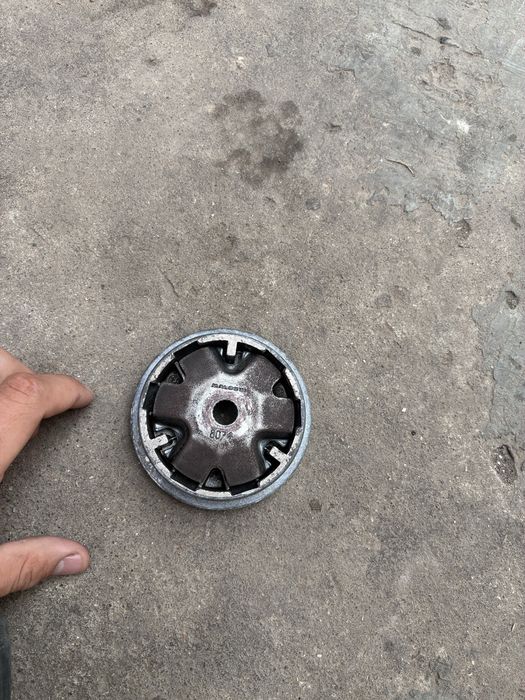 Variator malossi