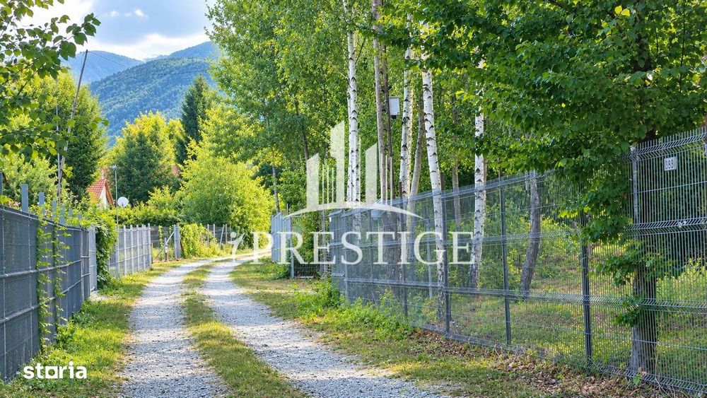 Teren Intravilan De Vânzare | Valea Avrigului | 744 Mp
