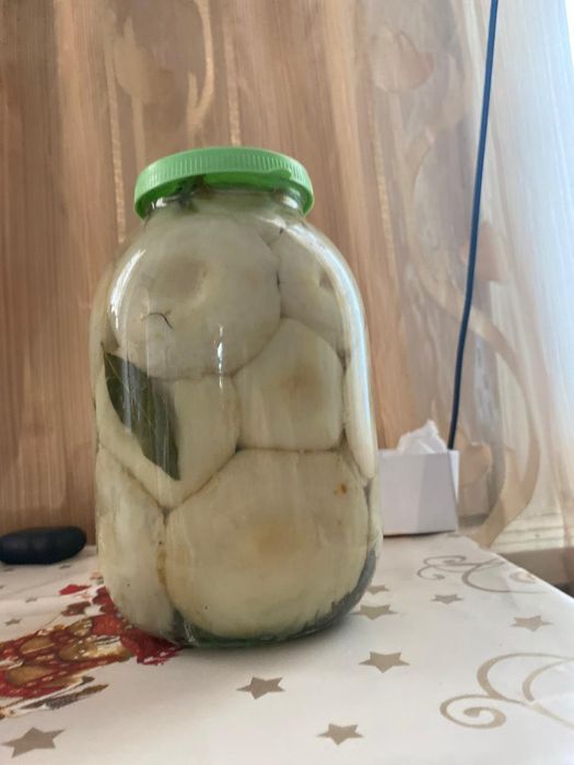 Продам грибы грузди