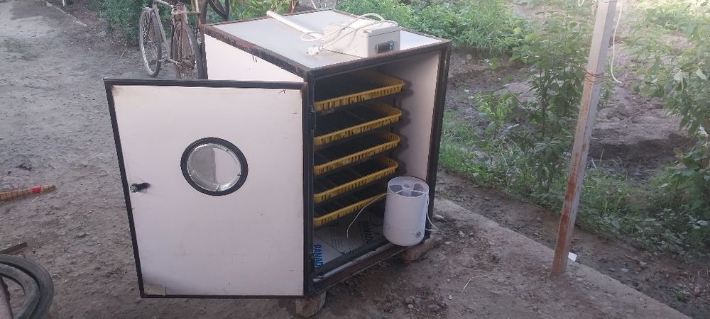 Inkubator. 500 talik