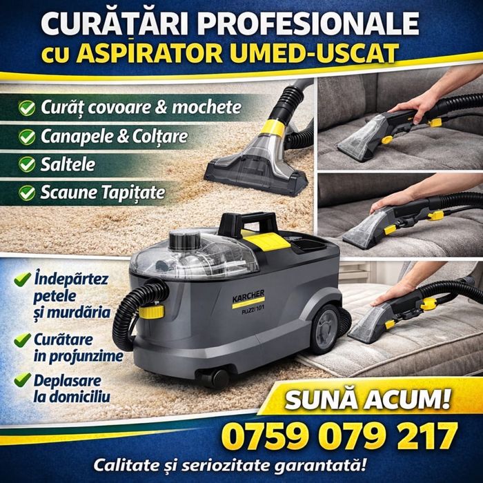 Curatari profesionale