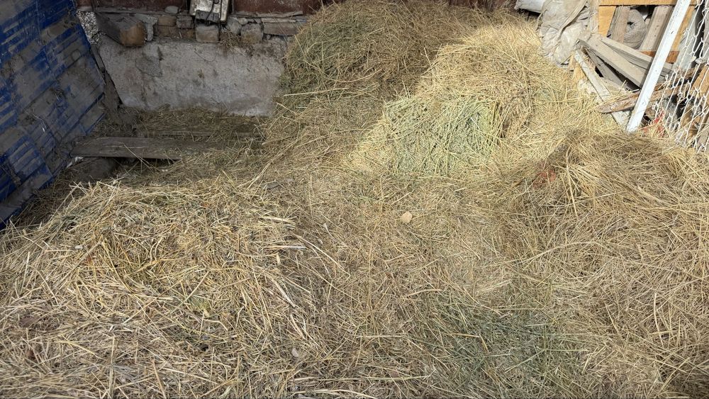 Шоп барлыгын осы багага алып кетиниздер