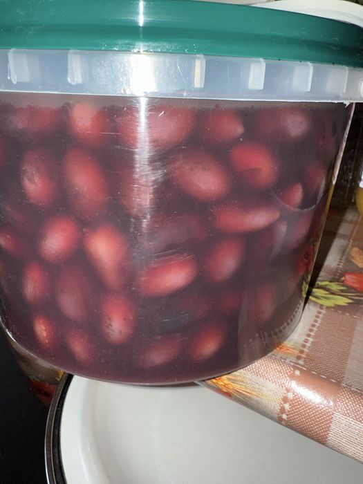 Masline kalamata Grecia