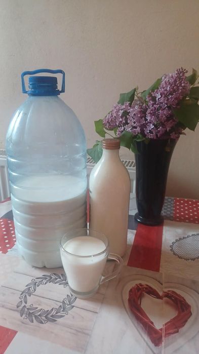 Vând lapte de capră