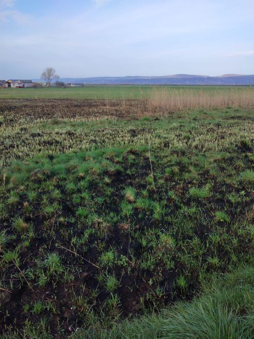 Vand teren intravilan 5.000 mp