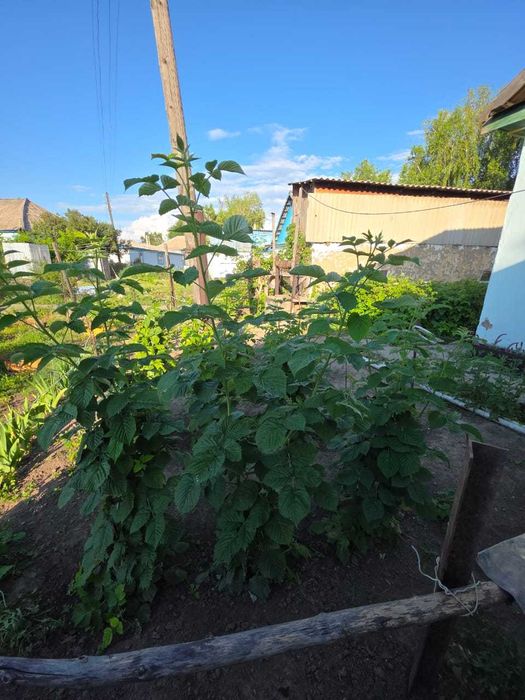 Продается дом с.Карабулак (не Ключи)