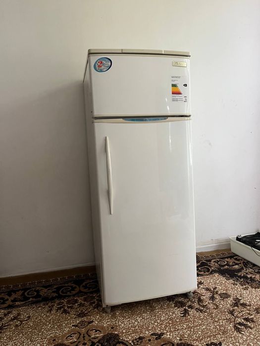 Сино музлатгич сотилади