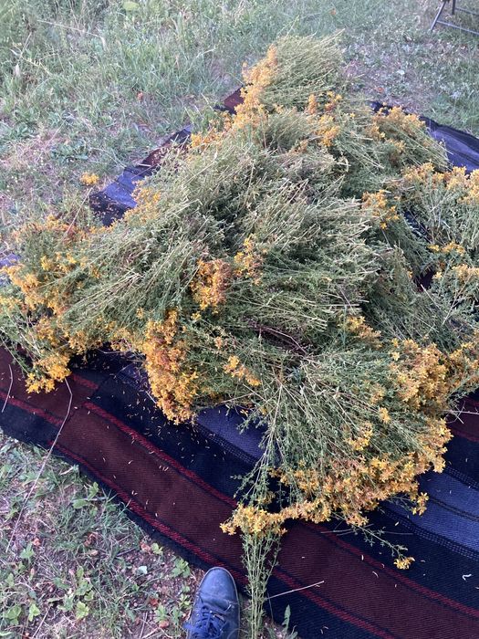 Дивата Билкова Ферма, чайове билки подправки  плодове