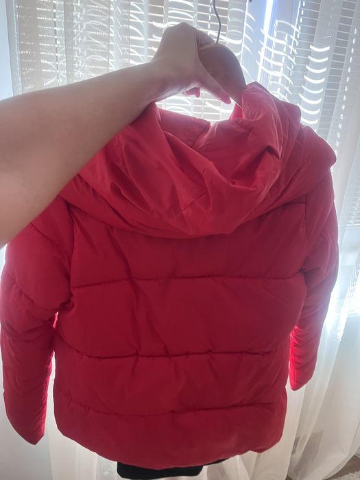 Geci/jachete -in descriere