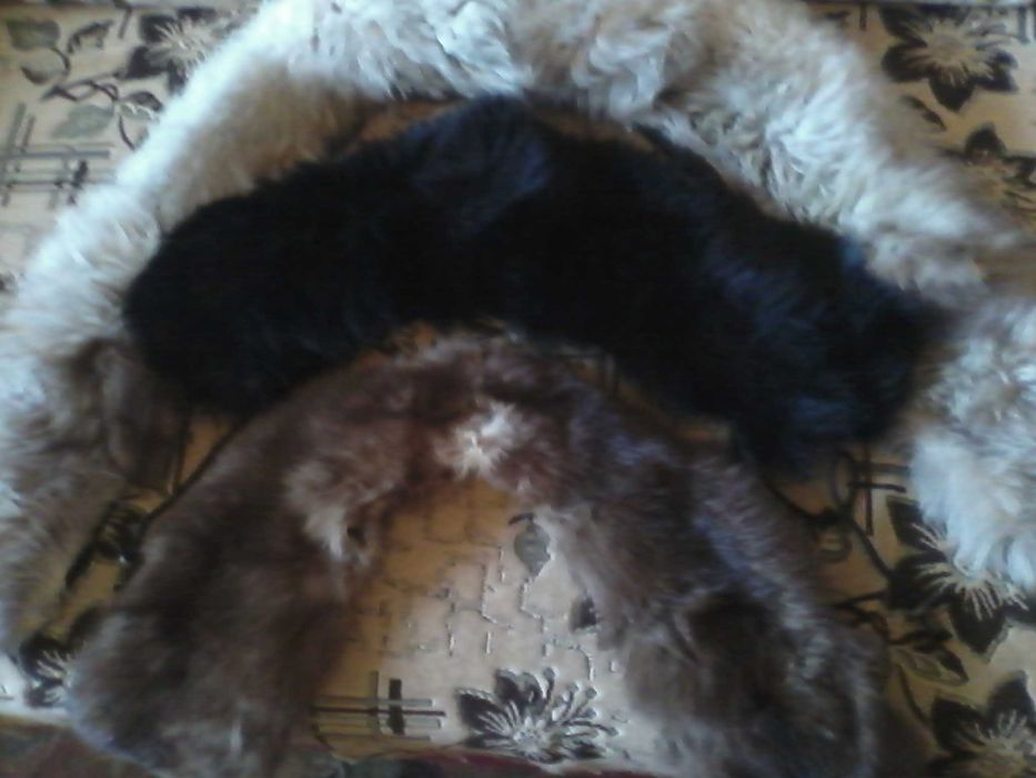 Продаю воротник  песец, соболь