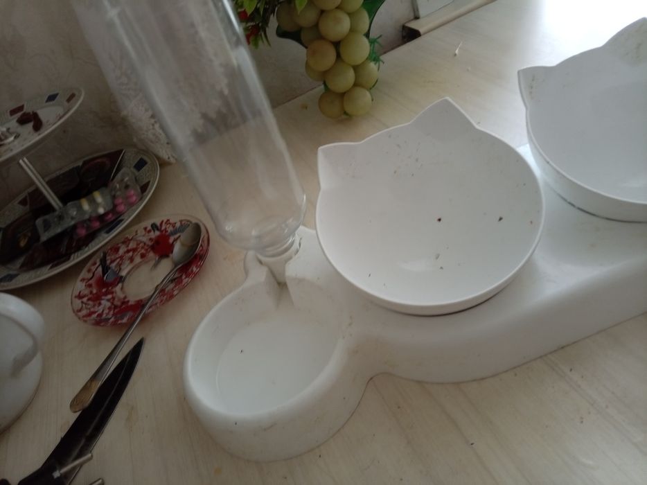 Чашки для кошки с автоналивайкой