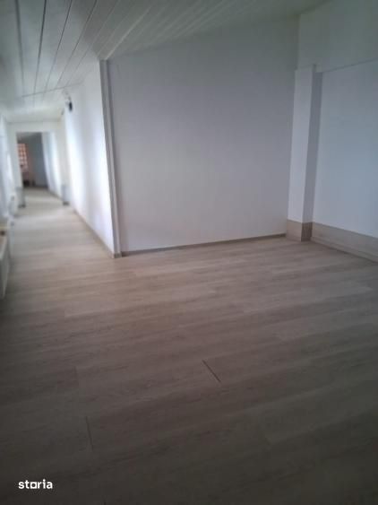 Vila D+P+M; ideal firma Tineretului