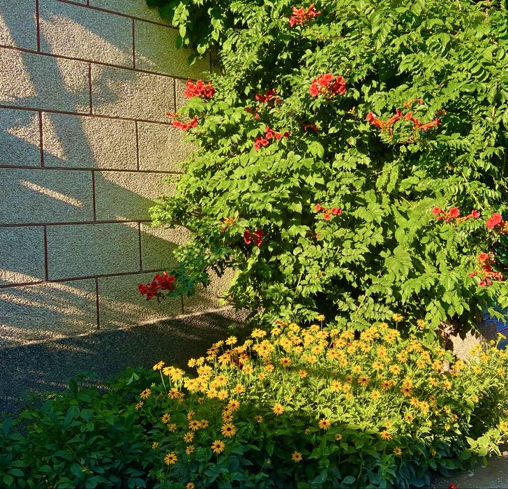 Продается жилой дом