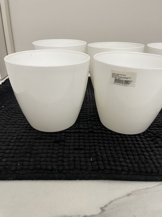 Бели саксии перфектни