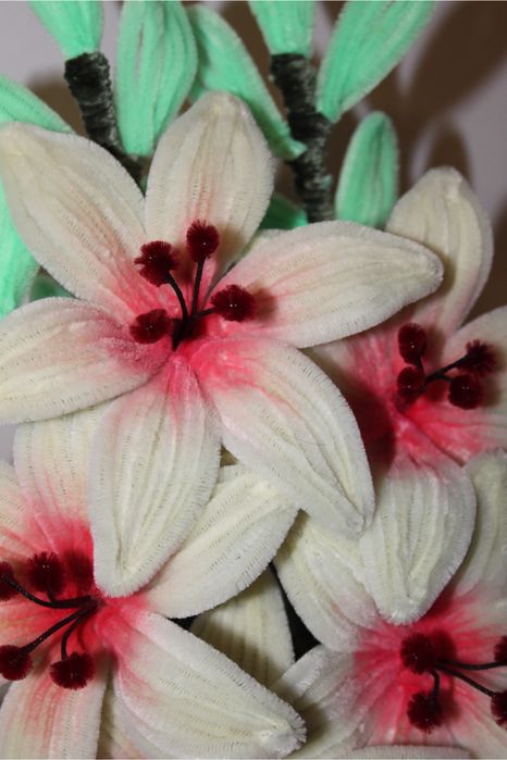 Crini din sarma plusata