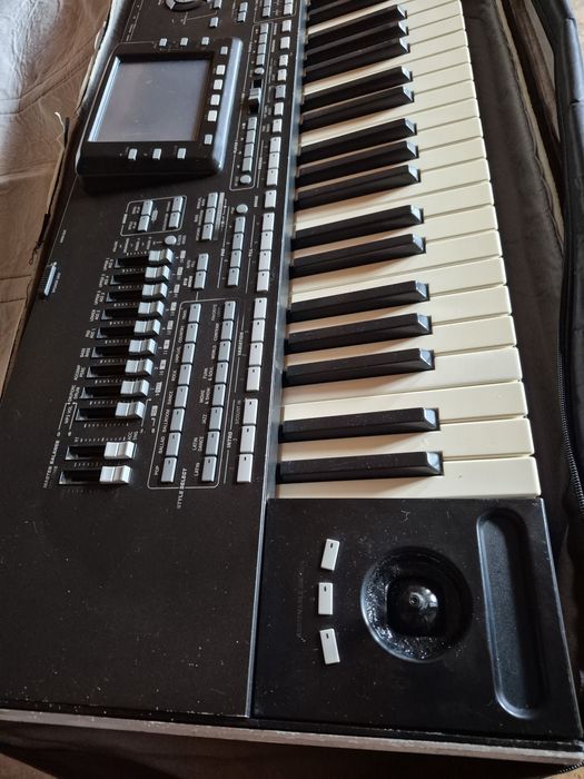 KORG PA3X  клавир