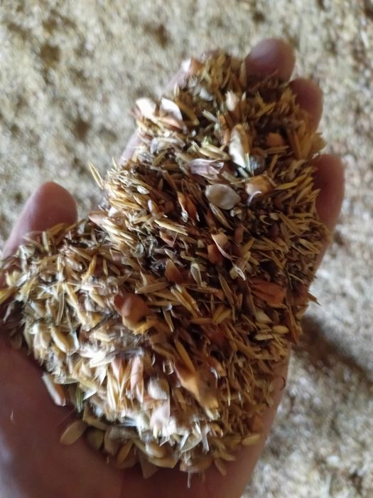 Отходы полова в перемешку для крс мрс лошадей