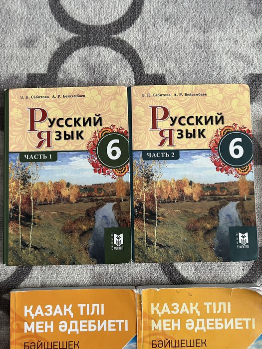 книги 6 класс русс