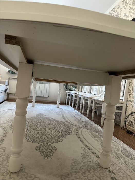 Стол (3 х 3,5) и стулья (10шт)