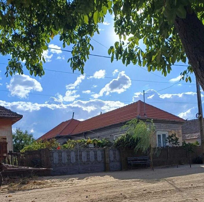 Vand casa batraneasca cu teren, Poiana-Mare, jud. Dolj