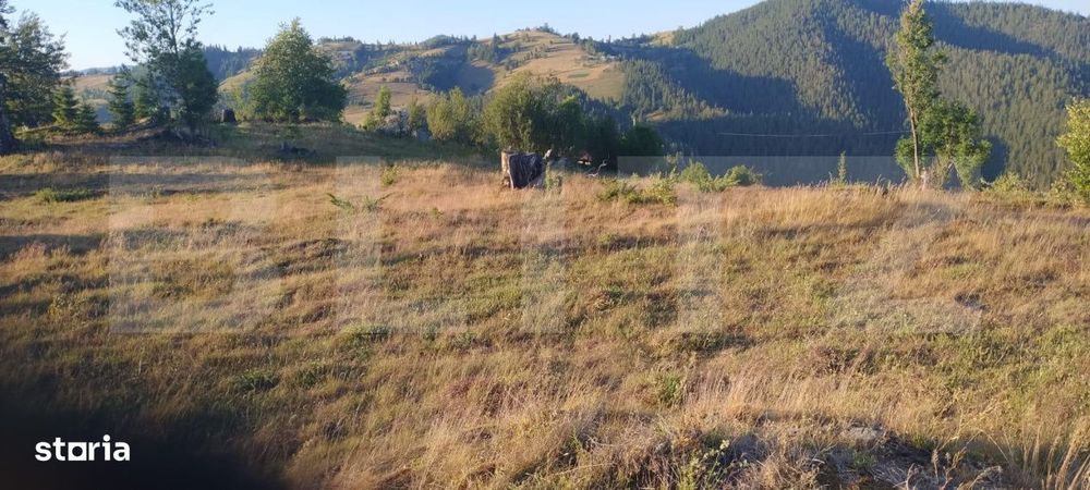 Teren intravilan, Sat Garda