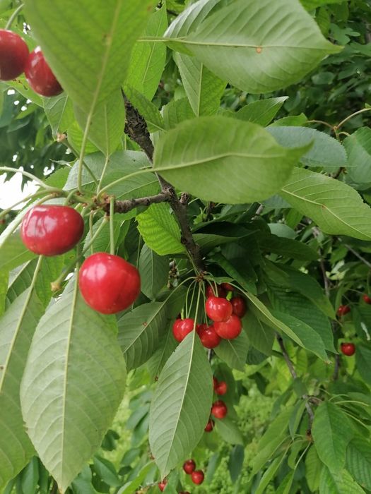 СРОЧНО!!!Продам или обменяю дом