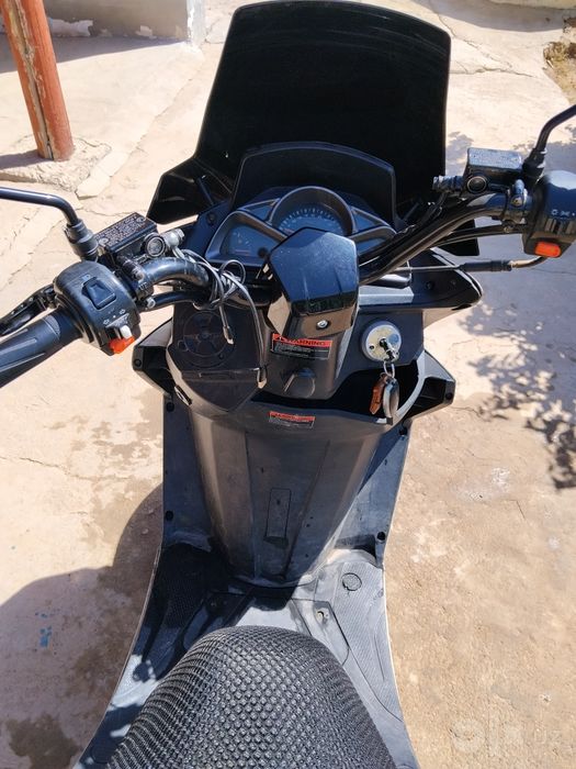 Skuter tegir gst