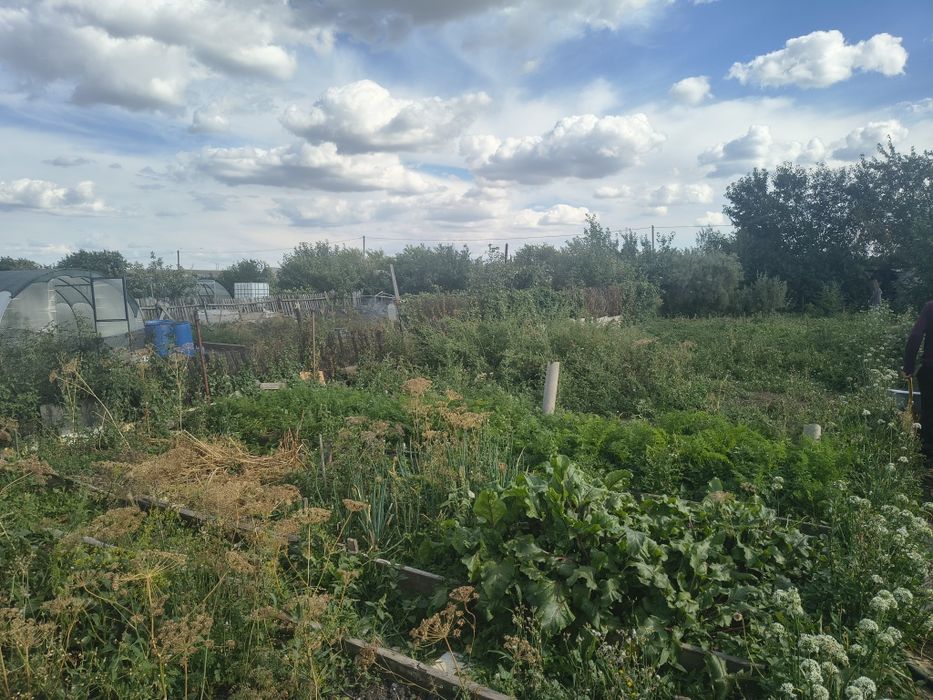 Продам дачу в городе