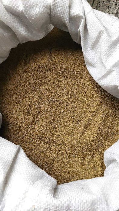 Жонышка урык, Семена Люцерны