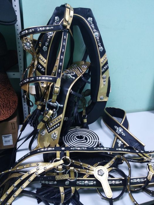 Упряжь парадная для лошади