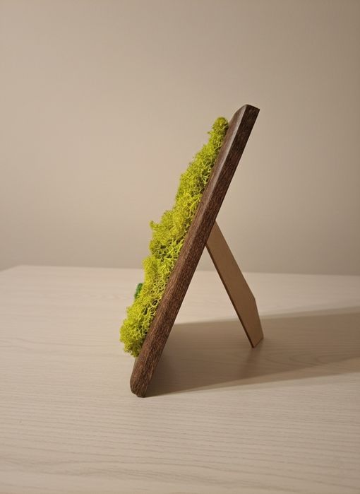 Tablou decorativ cu lichieni naturali.