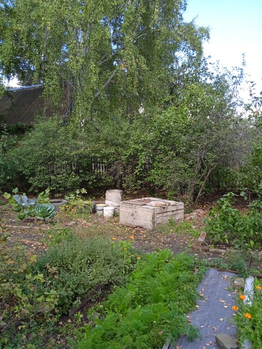 Продам дачу в обществе "Садовод"