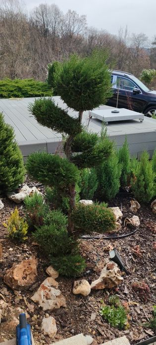 Градинарски услуги и аранжиране на градини с отношение към клиента