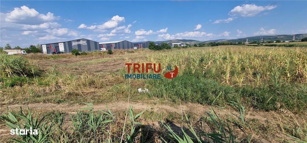 Teren intravilan 5.756 mp cu acces direct la Șoseaua de Centură – Alba