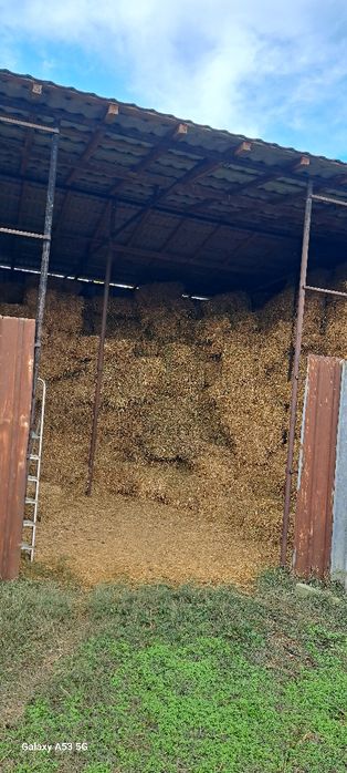 Baloți lucerna coasa1 și coasa 2