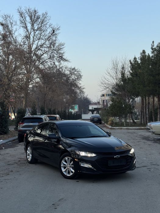 Malibu 2 xl 2023 kraska tozza