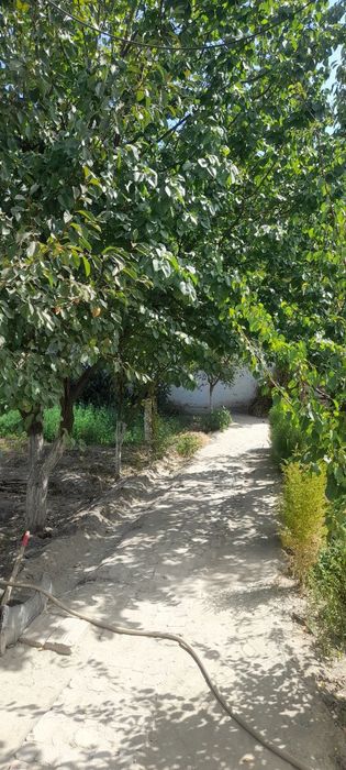 Очень срочно Продается коттедж в янги хаёт