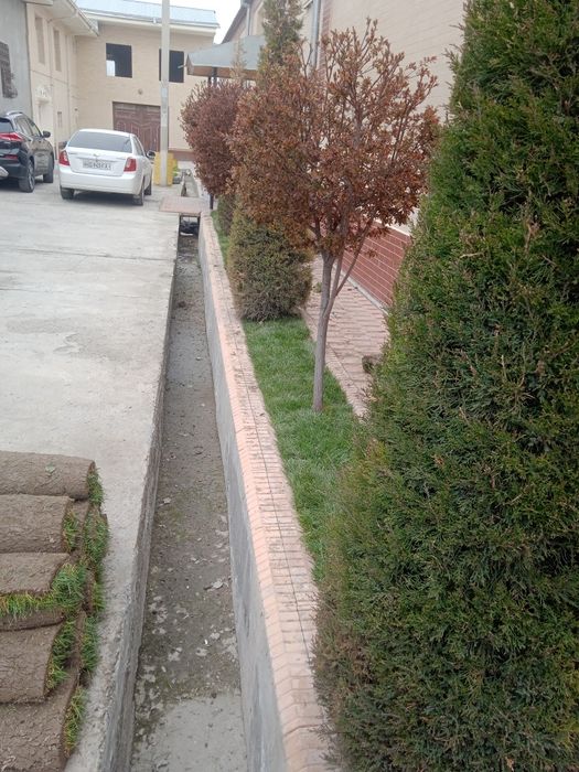 Landshaft gazon xizmati