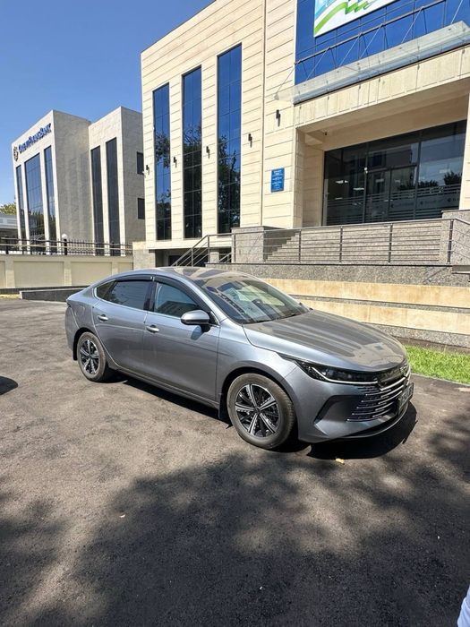 BYD Chazor 2024/25