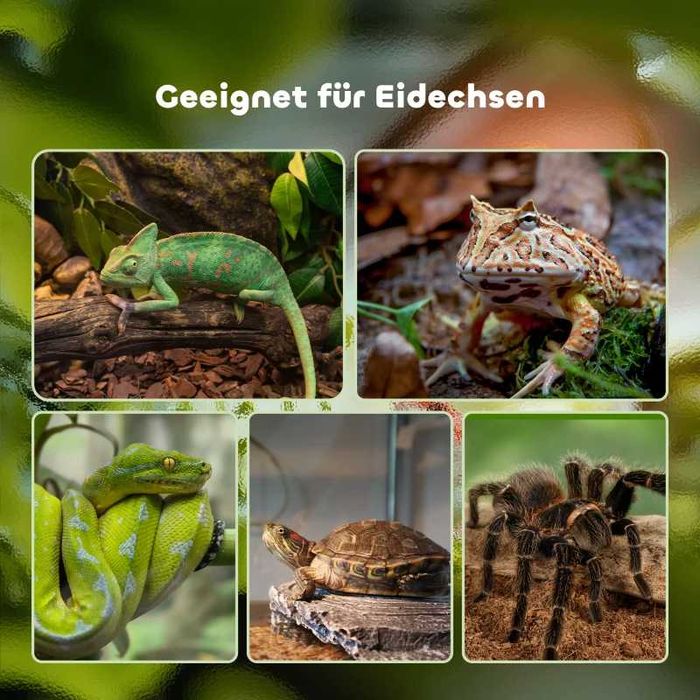 PawHut Терариум за влечуги,  земноводни и паякообразни с термометър